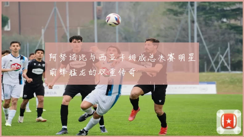 阿努诺比与西亚卡姆成总决赛明星前锋猛龙的双重传奇